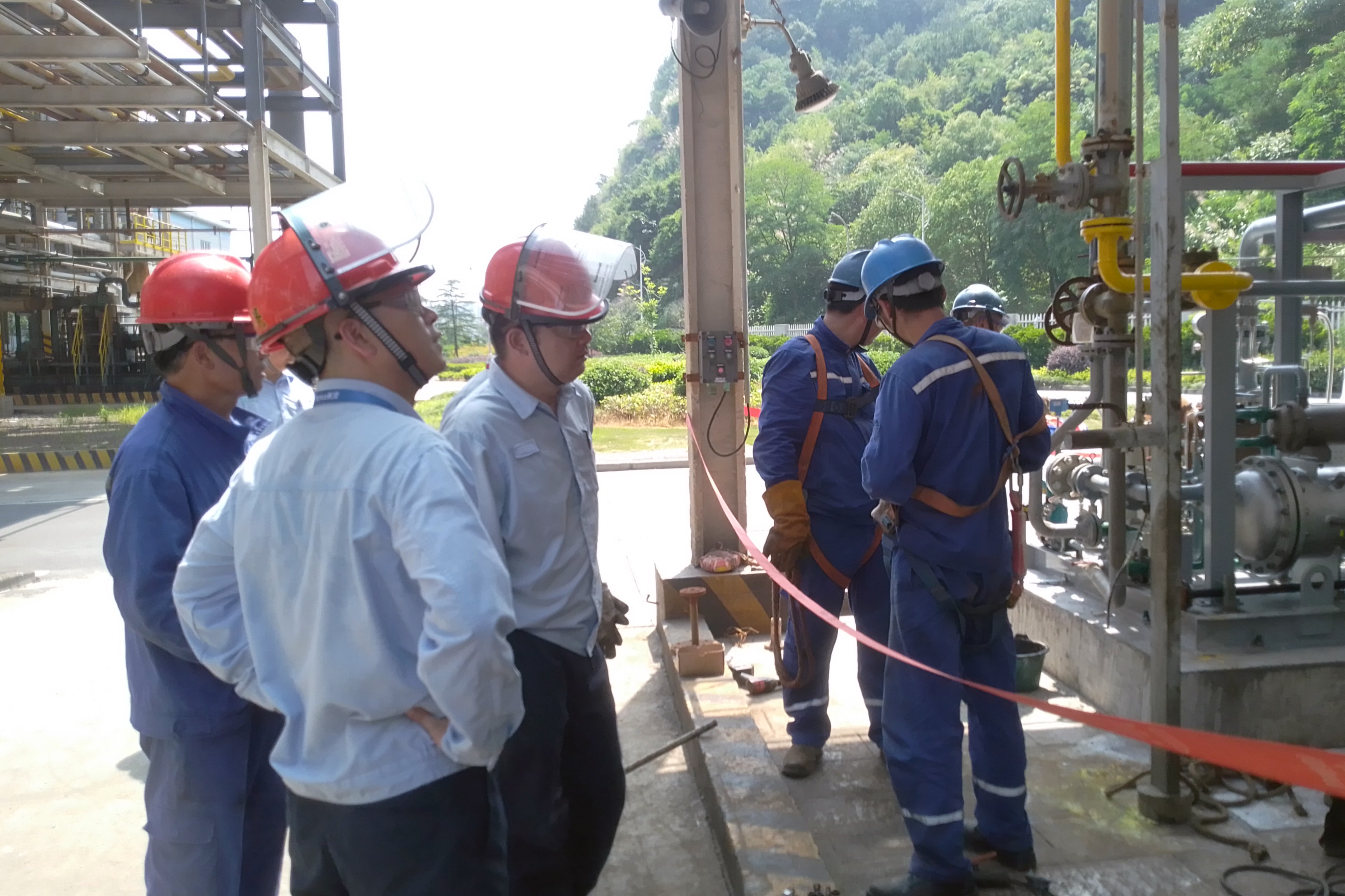 16909591947777813YCP.jpg 16909591947777813YCP.jpg