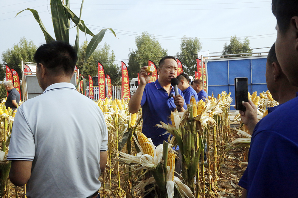 1698112164466447eBZj.jpg 1698112164466447eBZj.jpg