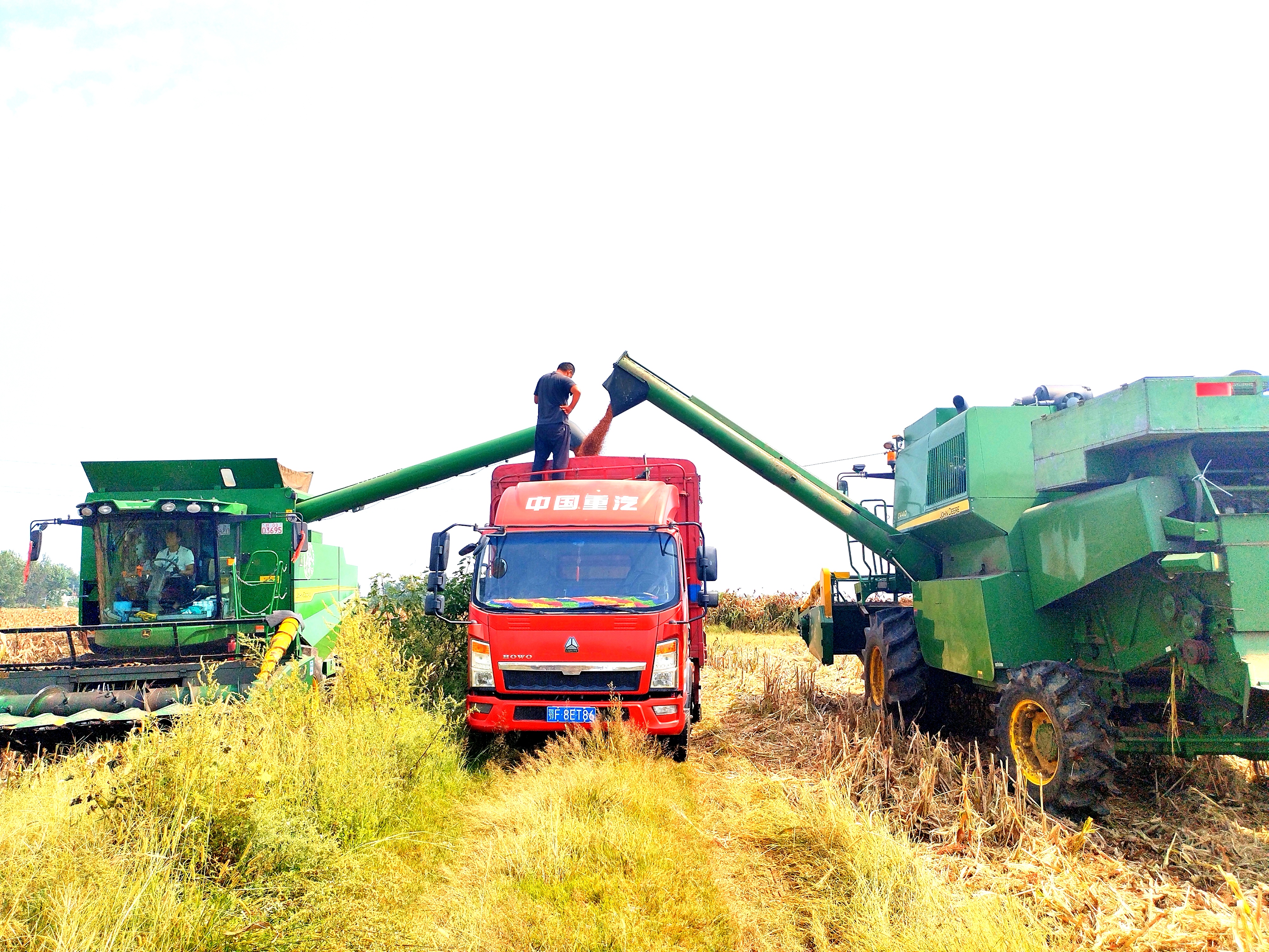 16981122897755468PMy.jpg 16981122897755468PMy.jpg