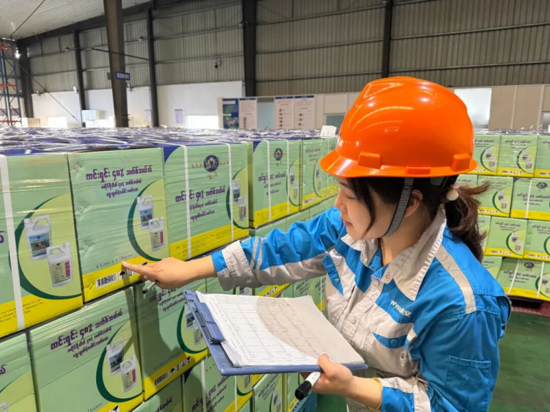 1760493739921877Qobg.png 圖片6.png